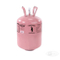 Factory Sell Freon R600A R404A R507 R407c R290 R22 R410A R134A Refrigerant Gas