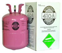 16 Years Factory Direct Selling R410A Refrigerant Gas