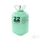 R22 R134A R410A R600A R404A R507 R407c R290 Freon Gas Refrigerant